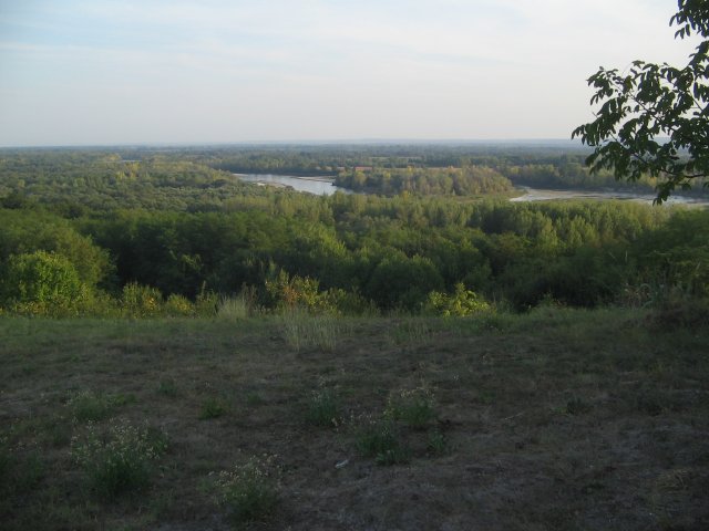finnek 2011 026